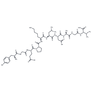 化合物 Pneumadin, rat|T16553|TargetMol