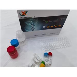 人早期生长反应因子3(EGR3)ELISA检测试剂盒
