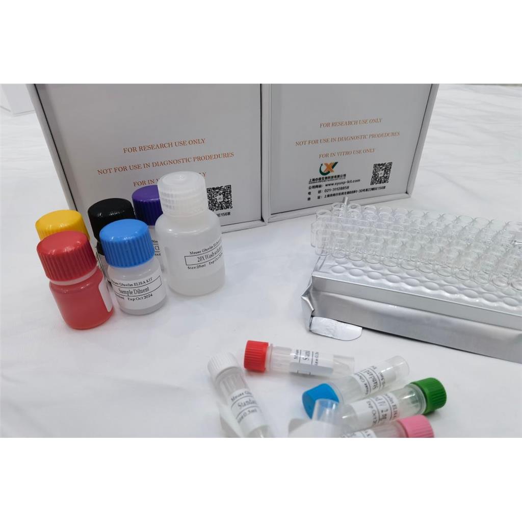 人组蛋白去乙酰化酶2(HDAC2)ELISA检测试剂盒,Human Histone Deacetylase 2 (HDAC2) ELISA Kit