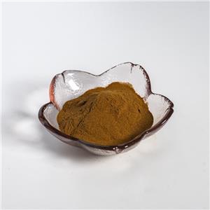 玉米须提取物,Corn Stigma Extract