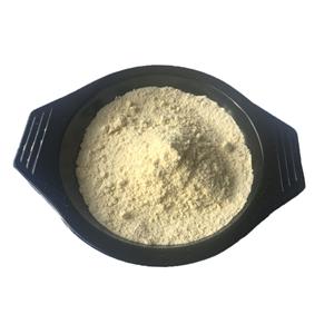 甲氨蝶呤 59-05-2