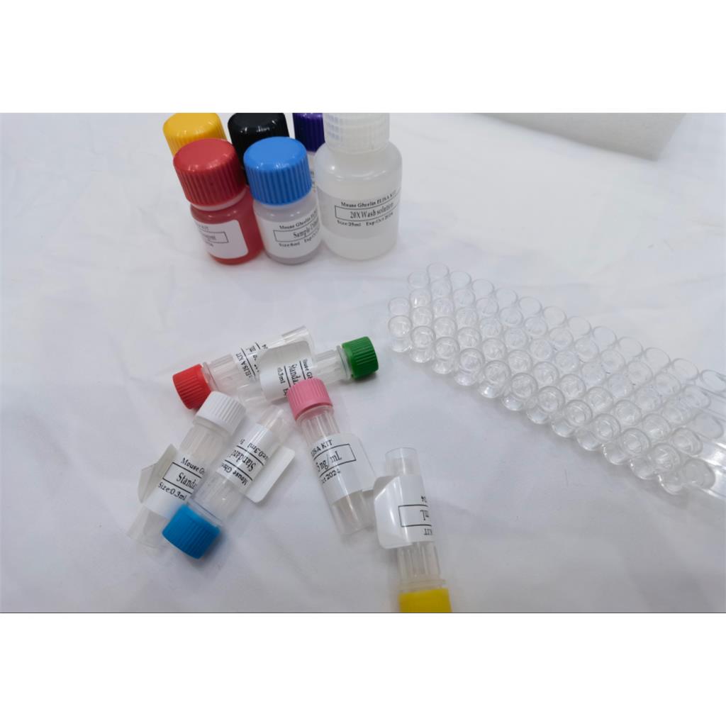 人胞浆多聚A结合蛋白4(PABPC4)ELISA检测试剂盒,Human Cytoplasmic poly(A) ELISA Kit-binding protein 4(PABPC4) ELISA Kit