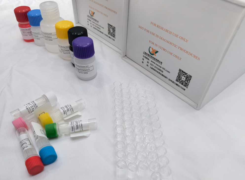 人脑富含膜附着信号蛋白1(BASP1)ELISA检测试剂盒,Human Brain Abundant, Membrane Attached Signal Protein 1 (BASP1) ELISA Kit