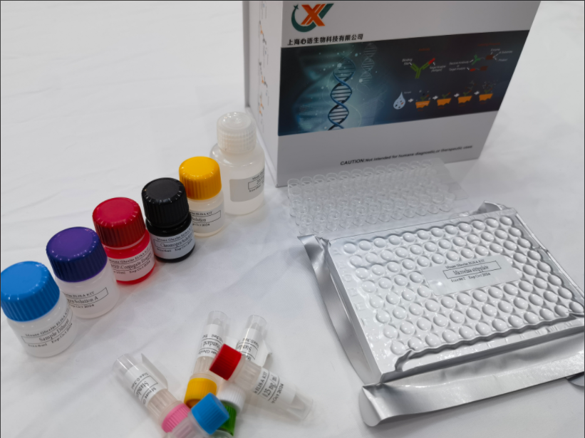 人苄氯素1(BECN1)ELISA检测试剂盒,Human Beclin 1 (BECN1) ELISA Kit