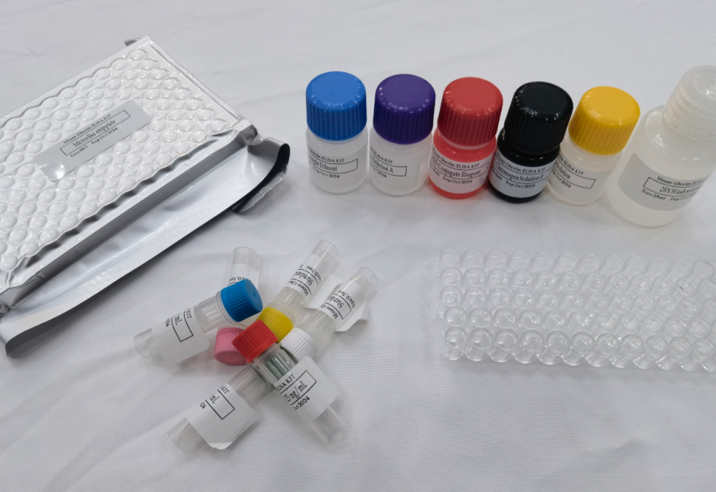 人血栓调节蛋白(TM)ELISA检测试剂盒,Human Thrombomodulin (TM) ELISA Kit