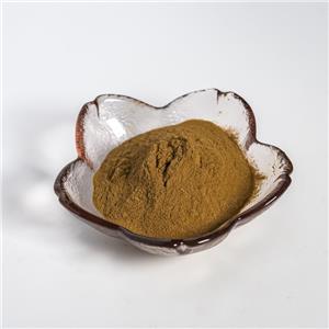 泽泻提取物,Rhizoma Alismatis Extract