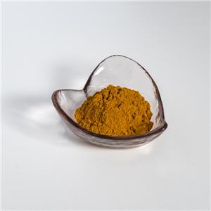 栀子提取物,Gardenia extract