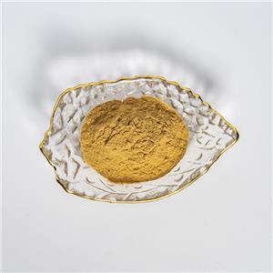 麦冬提取物,Ophiopogon Root Extract