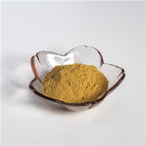 麦冬提取物,Ophiopogon Root Extract