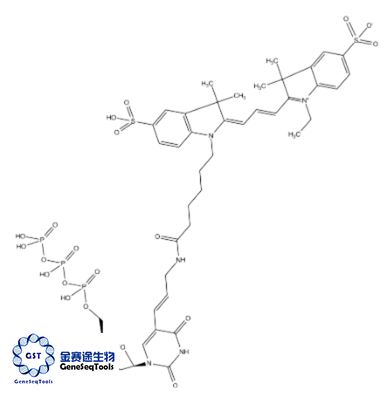 CY3-DCTP,Cy3-dCTP