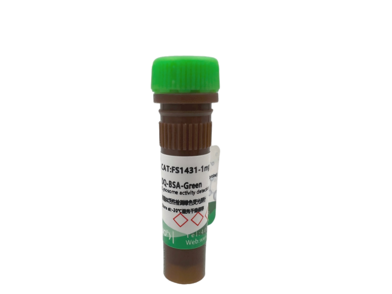 DQ-BSA-Green溶酶体活性检测绿色荧光探针,DQ-BSA-Green Lysosome activity detection green fluorescent probe