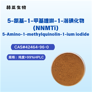 73571-69-6 5-氨基-1-甲基喹啉-1-滃氯化物(NNMTi)