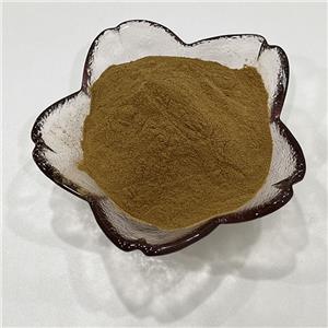 木瓜提取物,Carica Papaya L.