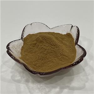 木瓜提取物,Carica Papaya L.