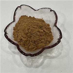 肉桂提取物,Cinnamon extract