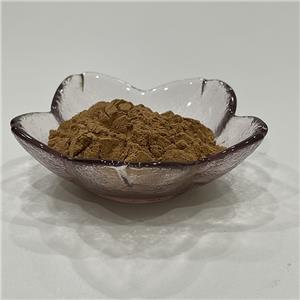 肉桂提取物,Cinnamon extract