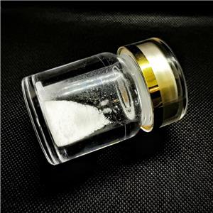 外消旋聚乳酸微球,DL-polylactide  Acid Microspheres