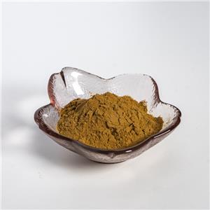 苏叶提取物,Perlla Leaf Extract