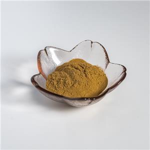 荆芥提取物,Fineleaf Schizonepeta Herb Extract