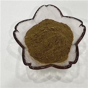 夏天无提取物,Rhizoma Corydalis Decumbentis