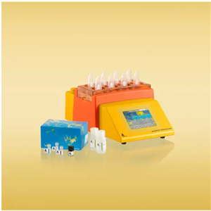 多组织分离试剂盒 2,Multi Tissue Dissociation Kit 2