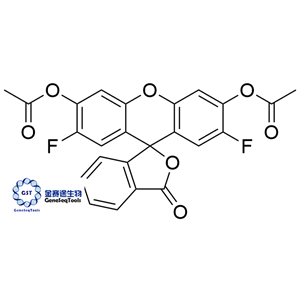 1027558-93-5 | 2',7'-Difluorofluorescein diacetate 2',7'-二氟荧光素二乙酸酯