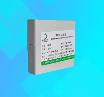 戊型肝炎病毒探针法荧光定量RT-PCR试剂盒,Hepatitis E Virus(HEV)