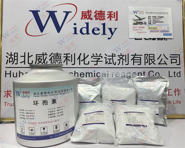 环孢素；环孢素A；环孢菌素A,Cyclosporin A