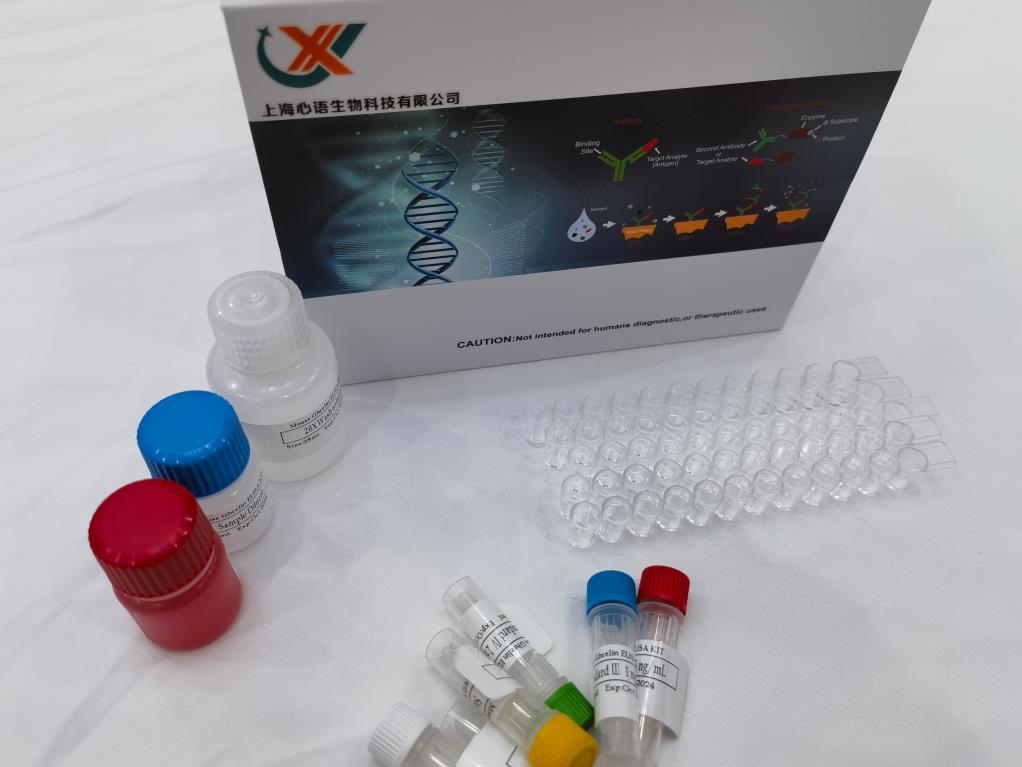 猪钠/钾离子转运ATP酶α1肽(ATP1a1)ELISA试剂盒,Porcine ATP1a1 ELISA KIT