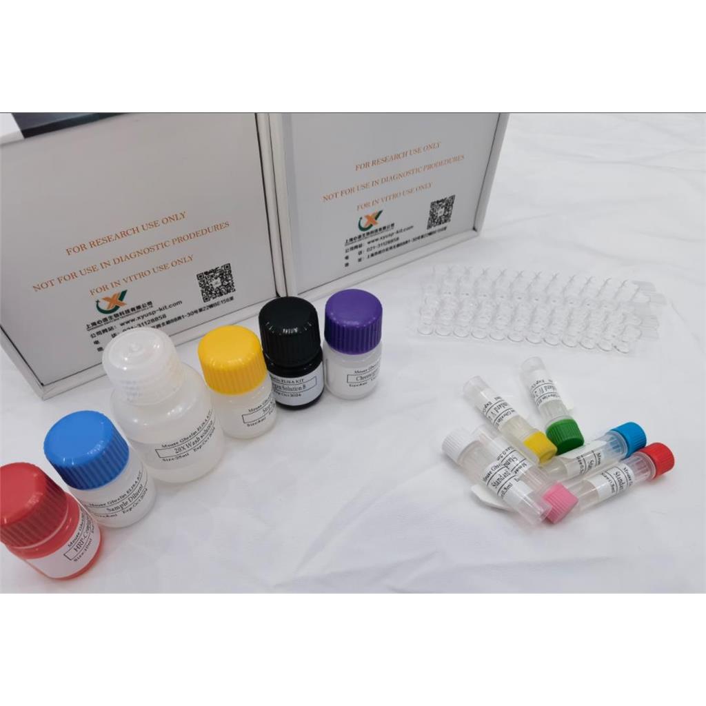 猪CD40配体(CD40L)ELISA试剂盒,Porcine CD40L ELISA KIT