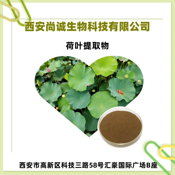 荷叶提取物,Lotus Leaf Extract