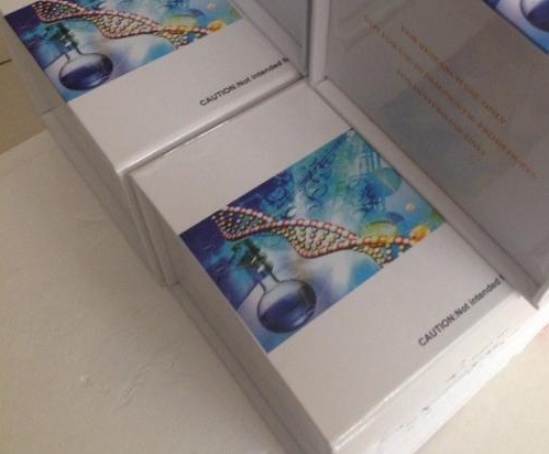 猪萨佩罗病毒探针法荧光定量RT-PCR试剂盒,Porcine Sapelovirus(PSV)