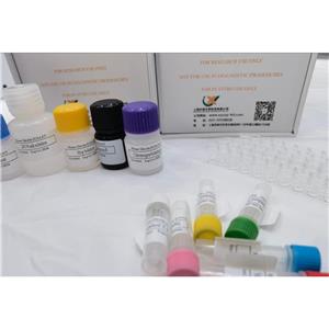 猪血栓调节蛋白(TM)ELISA试剂盒,Porcine TM ELISA KIT
