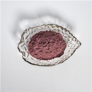 蓝莓提取物,Vaccinium Spp