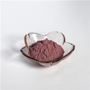 蓝莓提取物,Vaccinium Spp