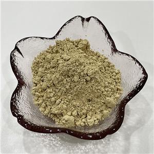 绞股蓝皂甙80%,Gynostemma P.E.