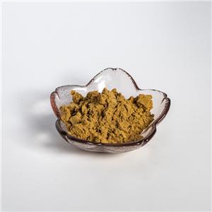 虎杖提取物,Polygonum cuspidatum