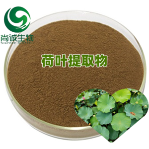 荷叶提取物,Lotus Leaf Extract