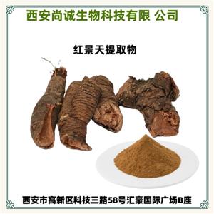红景天提取物,Rhodiola Rosea Extract