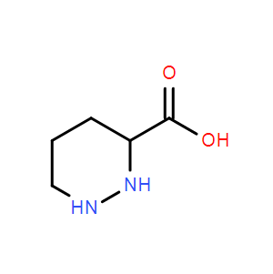 六氢哒嗪-3-羧酸,Hexahydropyridazine-3-carboxylic acid