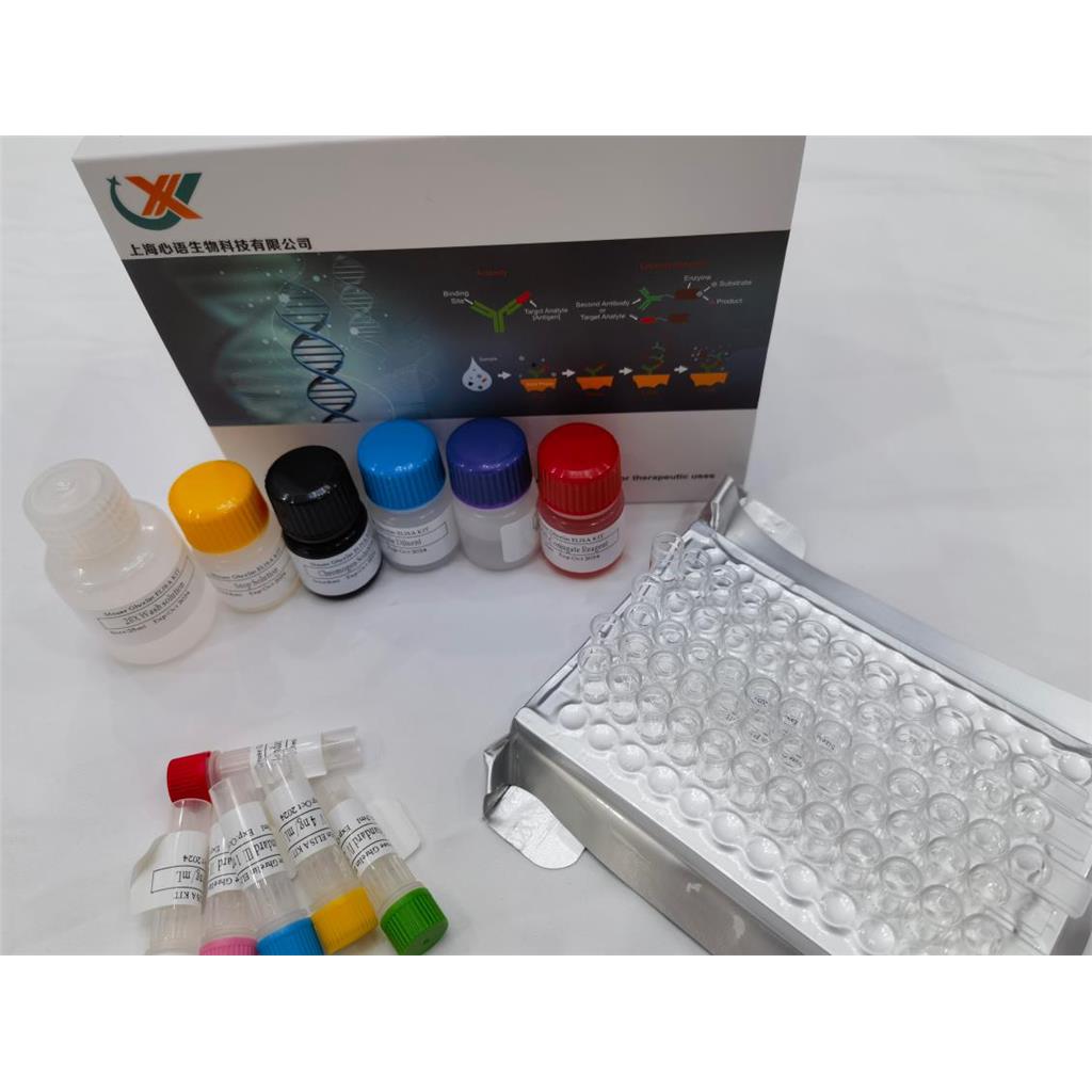 人间隙连接蛋白40(CX40)ELISA检测试剂盒,Human Connexin 40 (CX40) ELISA Kit