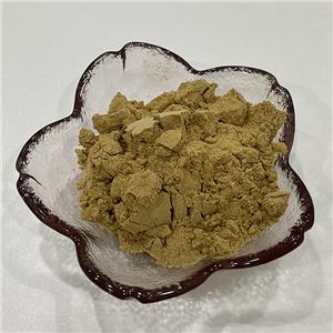 茶树花提取物,Tea flower extract