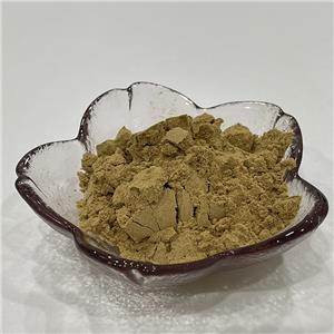 茶树花提取物,Tea flower extract