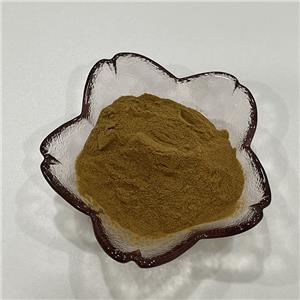 侧柏叶提取物,Cacumen Platycladi Orientalis P.E.