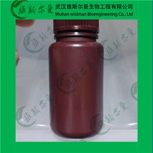 葡萄糖脱氢酶,Glucose Dehydrogenase