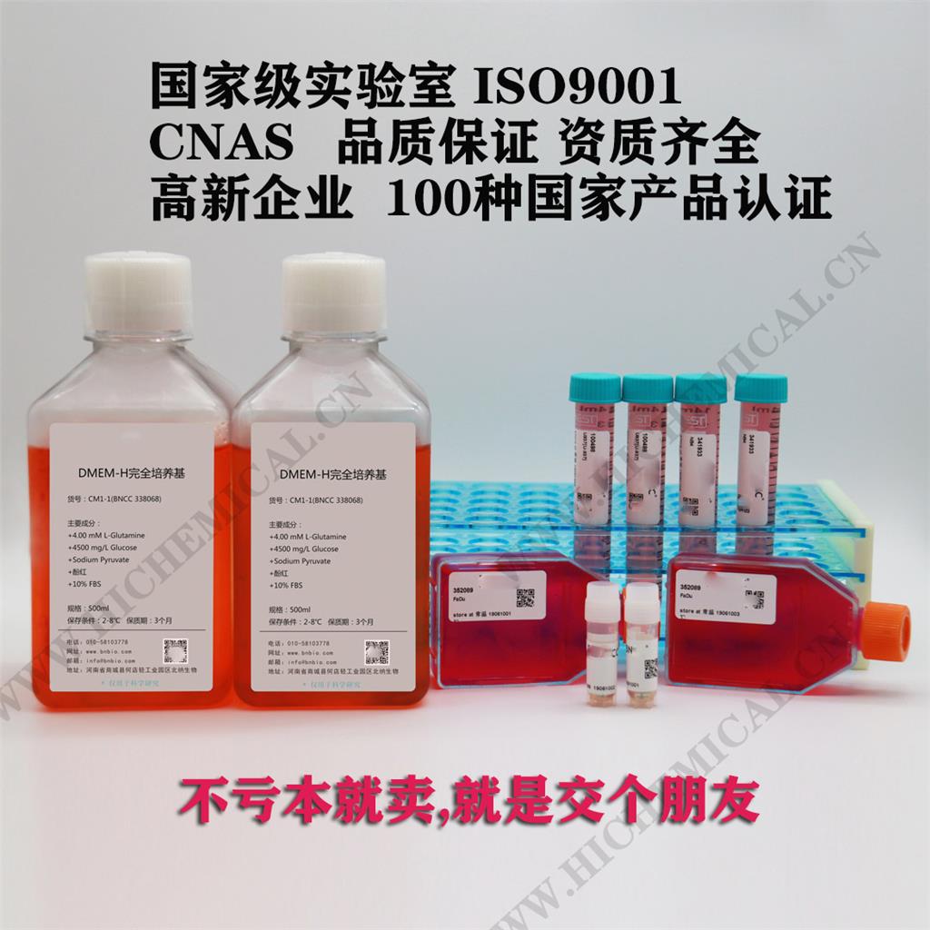 定量菌株幽门螺旋杆菌