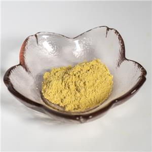 西洋参皂甙80%,Radix Quinquefolii