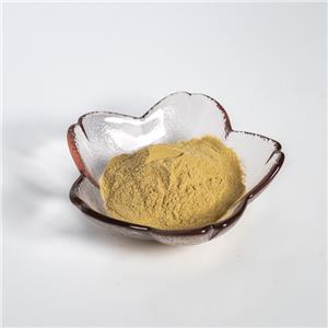 喜来芝提取物,Coriolus extract