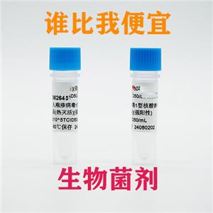 定量菌株幽门螺旋杆菌