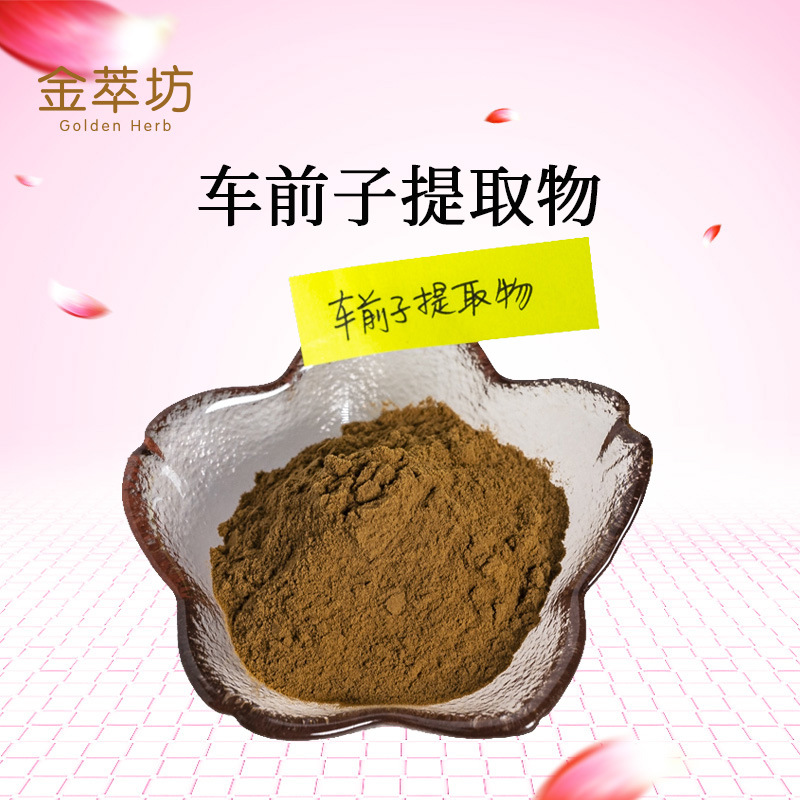 车前子提取物,PlantaginisSemen